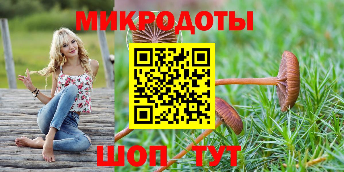 Псилоцибиновые грибы GOLDEN TEACHER  сколько стоит  Галлюциногенные грибы Psilocybine cubensis  Кореновск  Вход с VPN 