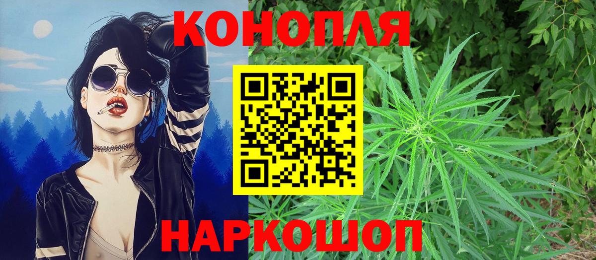 Бошки Шишки план Кореновск